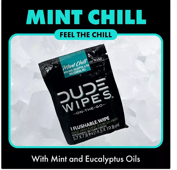 DUDE WIPES XL On-the-Go Flushable Wipes, Mint Chill, 4 ct., 120 wipes - Image 2