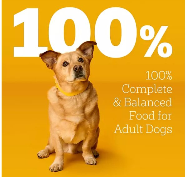 Pedigree Variety Pack, Choice Cuts in Gravy Adult Wet Dog Food, 3.5 oz., 54 ct. - Image 2